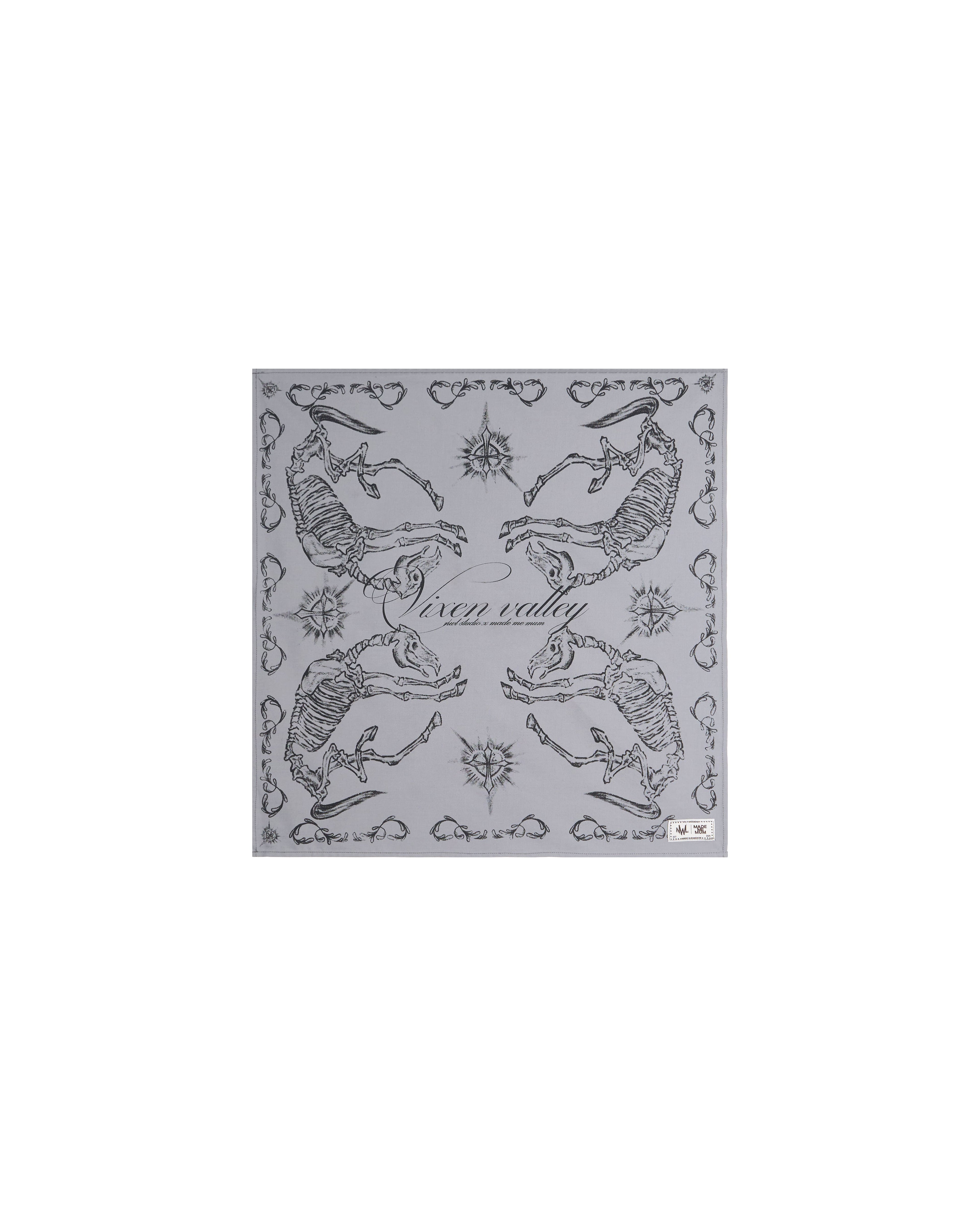 VIXEN VALLEY / Hanky