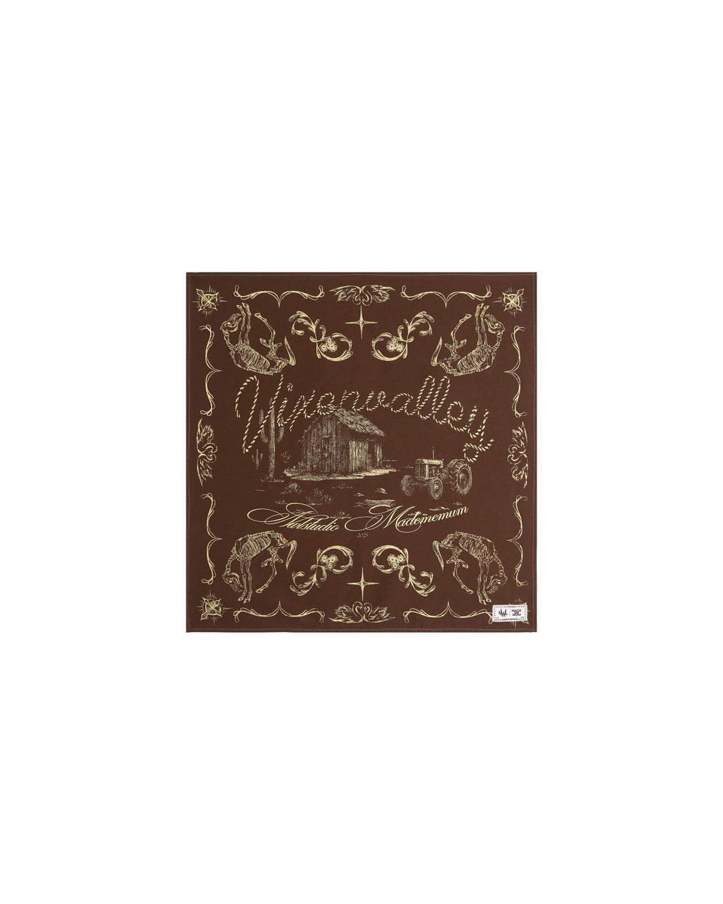VIXEN VALLEY / Hanky