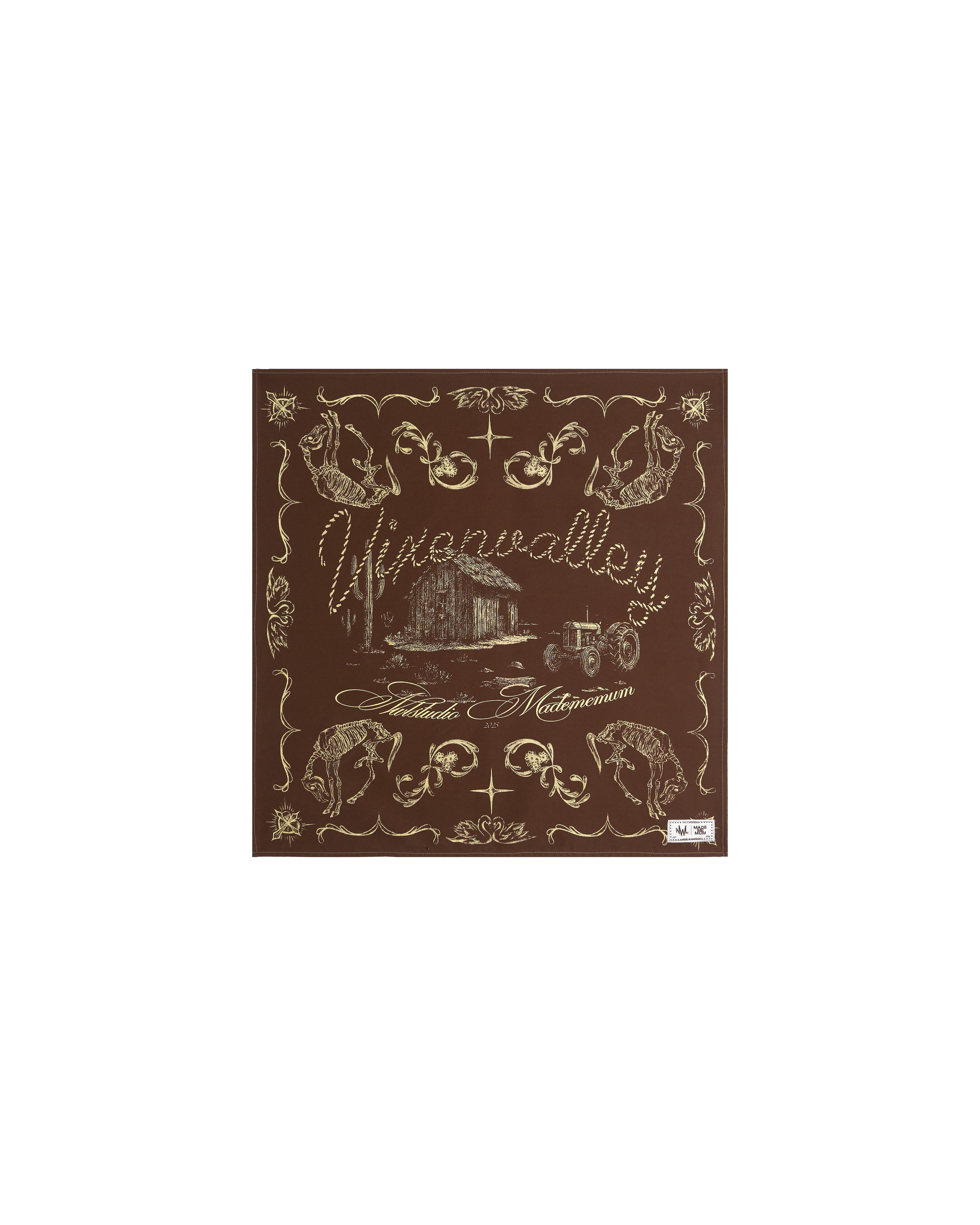 VIXEN VALLEY / Hanky